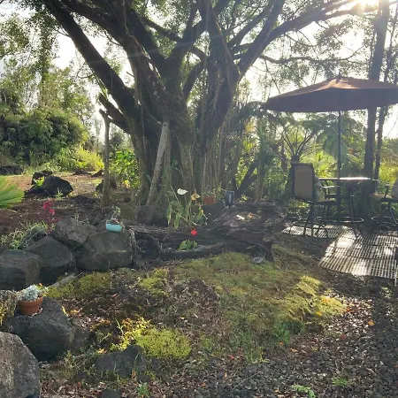 Majestic Banya Tree Cabin